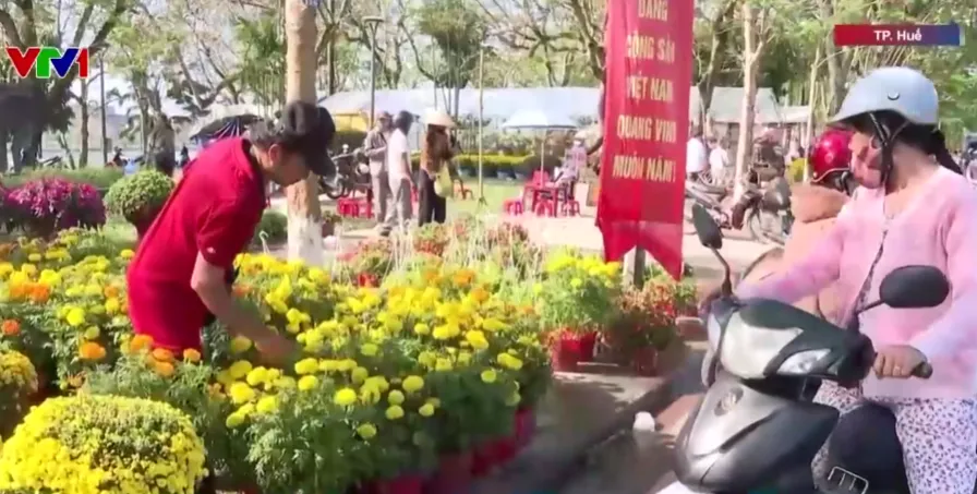 RỘN R&Agrave;NG NG&Agrave;Y CUỐI NĂM TẠI CỐ Đ&Ocirc; HUẾ - Ảnh 1.