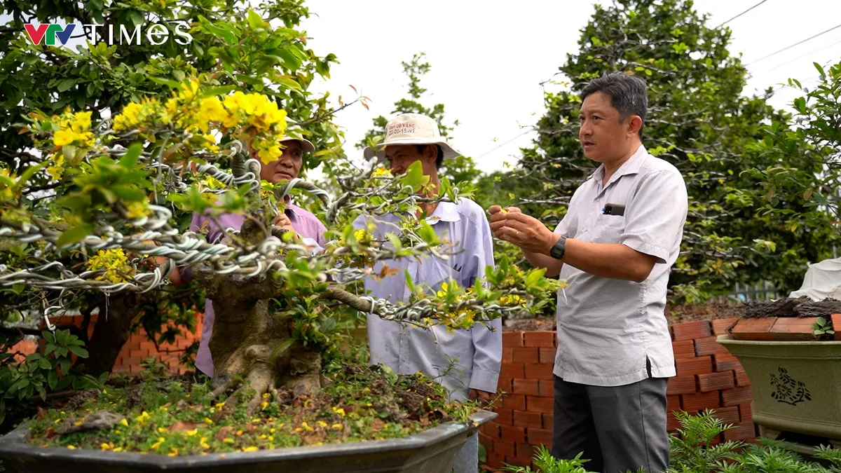 Phước Định – nơi mai nở từ bàn tay người giữ Tết - Ảnh 4.