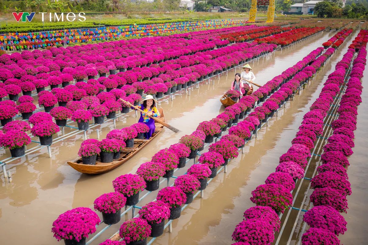 Xuân trên nghề hoa kiểng Sa Đéc – một di sản sống giữa dòng phù sa- Ảnh 1. Xuân trên nghề hoa kiểng Sa Đéc – một di sản sống giữa dòng phù sa- Ảnh 1.