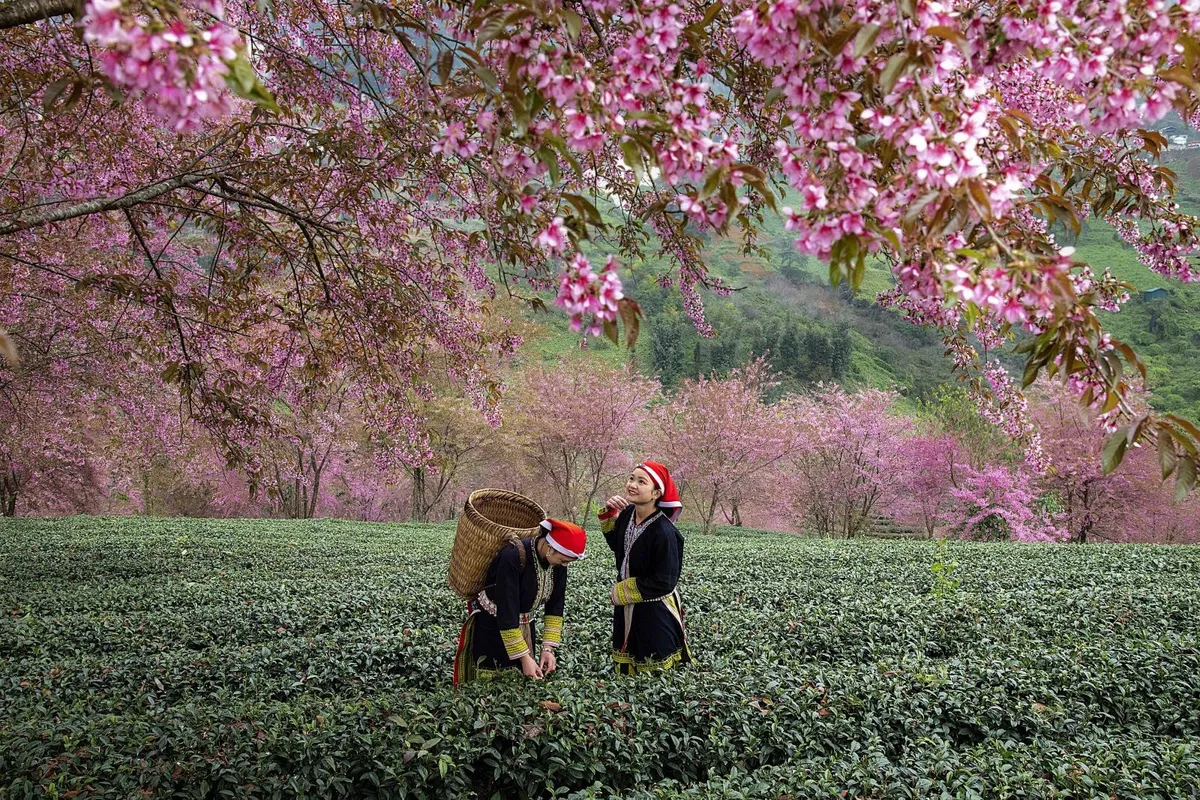 Mồng Hai Tết v&agrave; đạo l&yacute; trọng nghĩa vẹn t&igrave;nh- Ảnh 2.