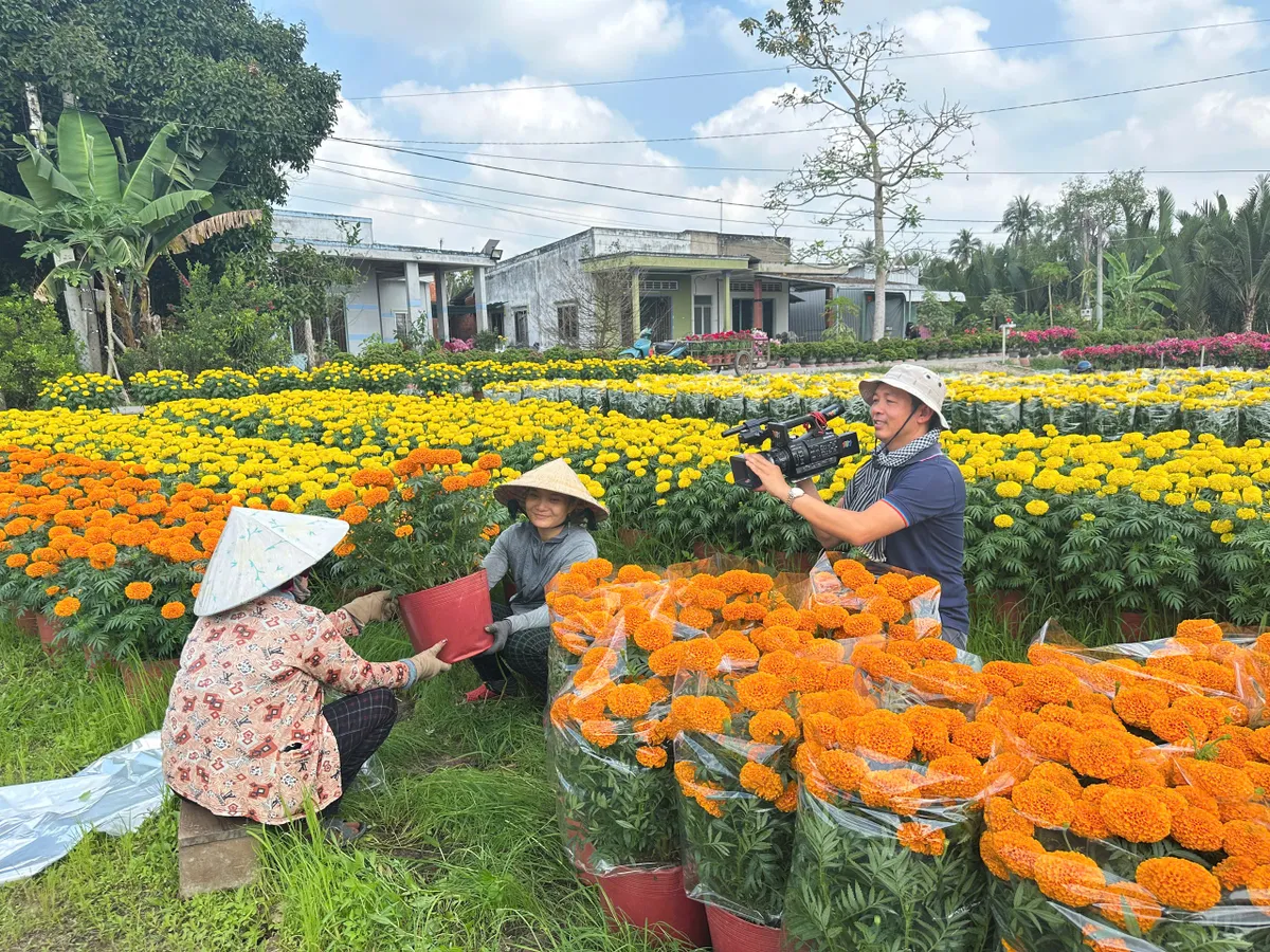 Chở xu&acirc;n về phố tr&ecirc;n s&oacute;ng VTV9 - Ảnh 4.