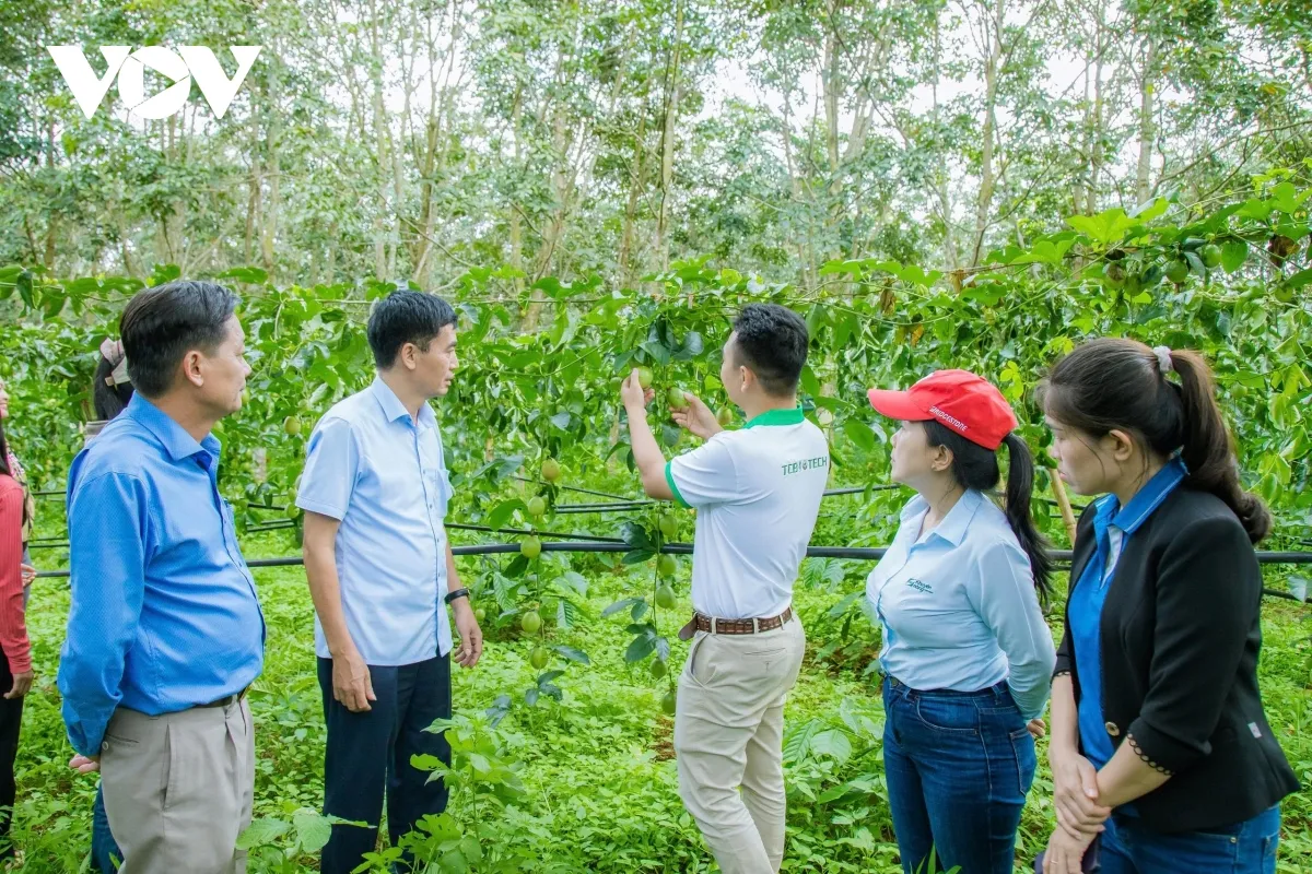 Chuyển đổi số “mở đường” cho nông nghiệp Đắk Lắk tăng trưởng bứt phá- Ảnh 1. Chuyển đổi số “mở đường” cho nông nghiệp Đắk Lắk tăng trưởng bứt phá- Ảnh 1.