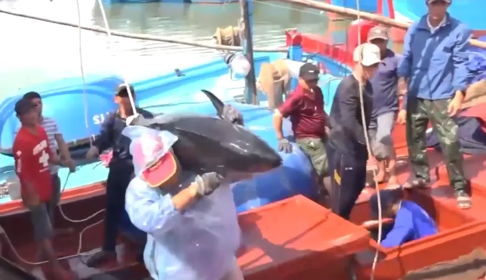 Đ&oacute;n Tết giữa biển khơi- Ảnh 1.