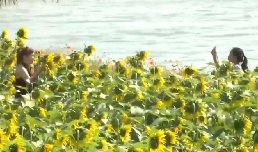 Niềm vui của n&ocirc;ng d&acirc;n v&ugrave;ng lũ trong năm mới- Ảnh 2.