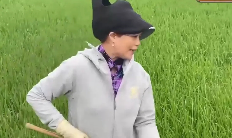 Niềm vui của n&ocirc;ng d&acirc;n v&ugrave;ng lũ trong năm mới- Ảnh 1.