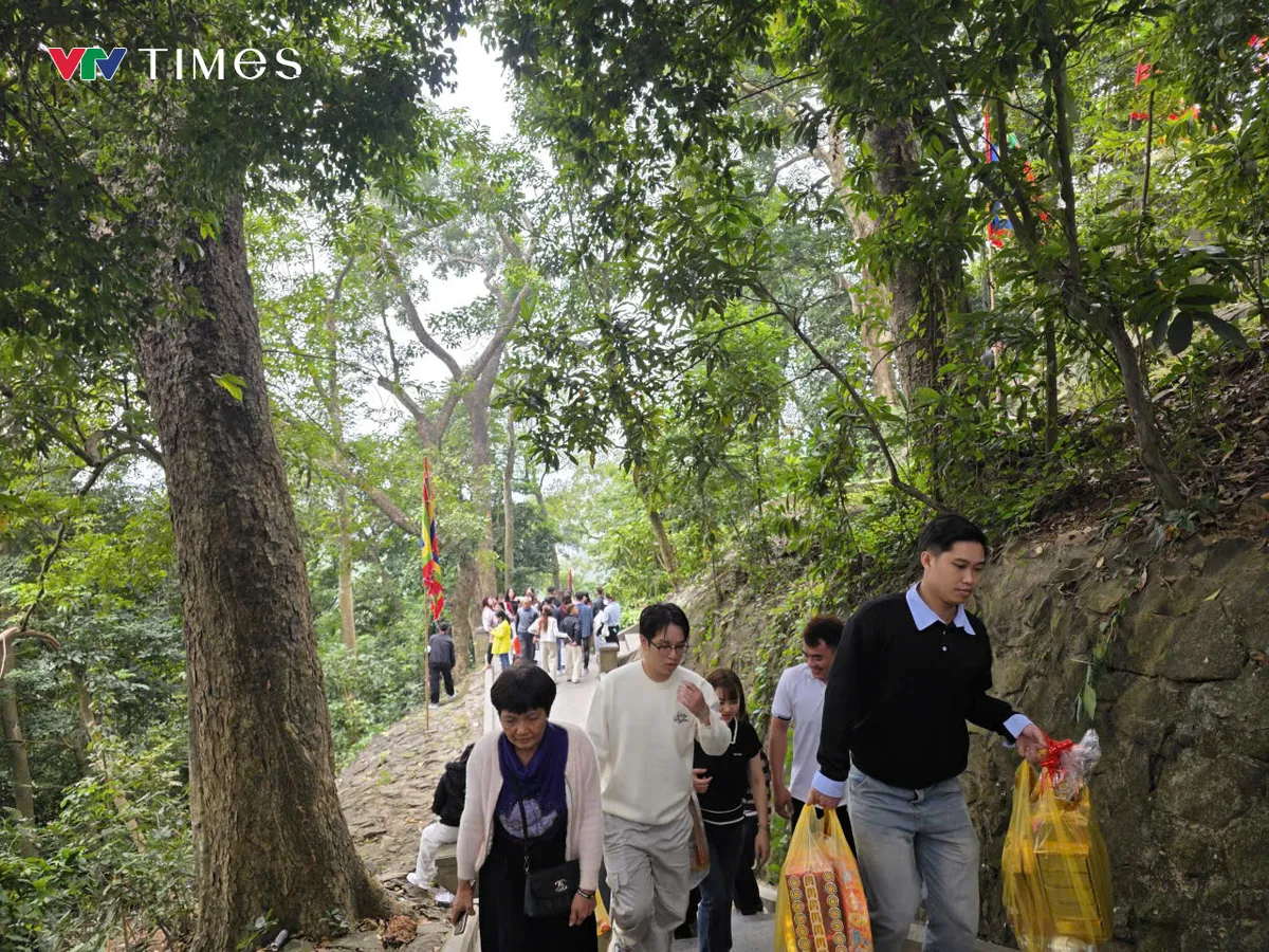 Ph&uacute; Thọ: Ba vạn du kh&aacute;ch h&agrave;nh hương về d&acirc;ng hương Đền H&ugrave;ng đầu năm B&iacute;nh Ngọ - Ảnh 9.