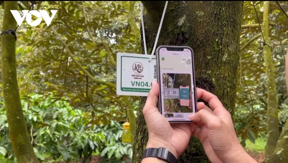 Chuyển đổi số “mở đường” cho nông nghiệp Đắk Lắk tăng trưởng bứt phá- Ảnh 2. Chuyển đổi số “mở đường” cho nông nghiệp Đắk Lắk tăng trưởng bứt phá- Ảnh 2.