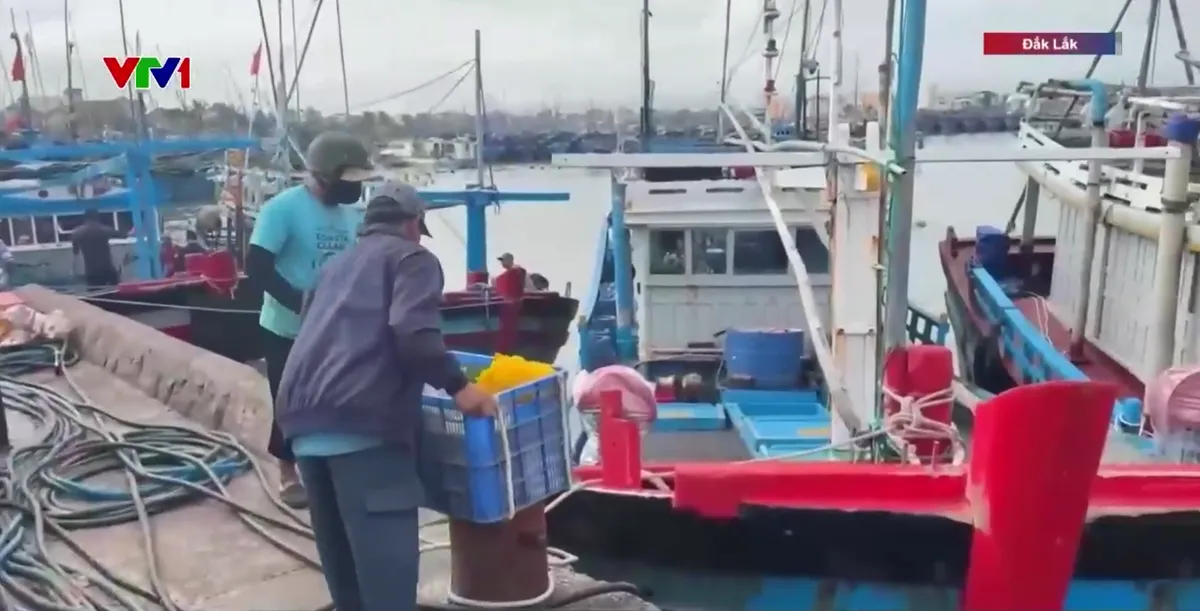 Đ&oacute;n Tết giữa biển khơi - Ảnh 1.