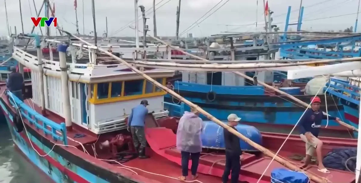 Đ&oacute;n Tết giữa biển khơi - Ảnh 2.