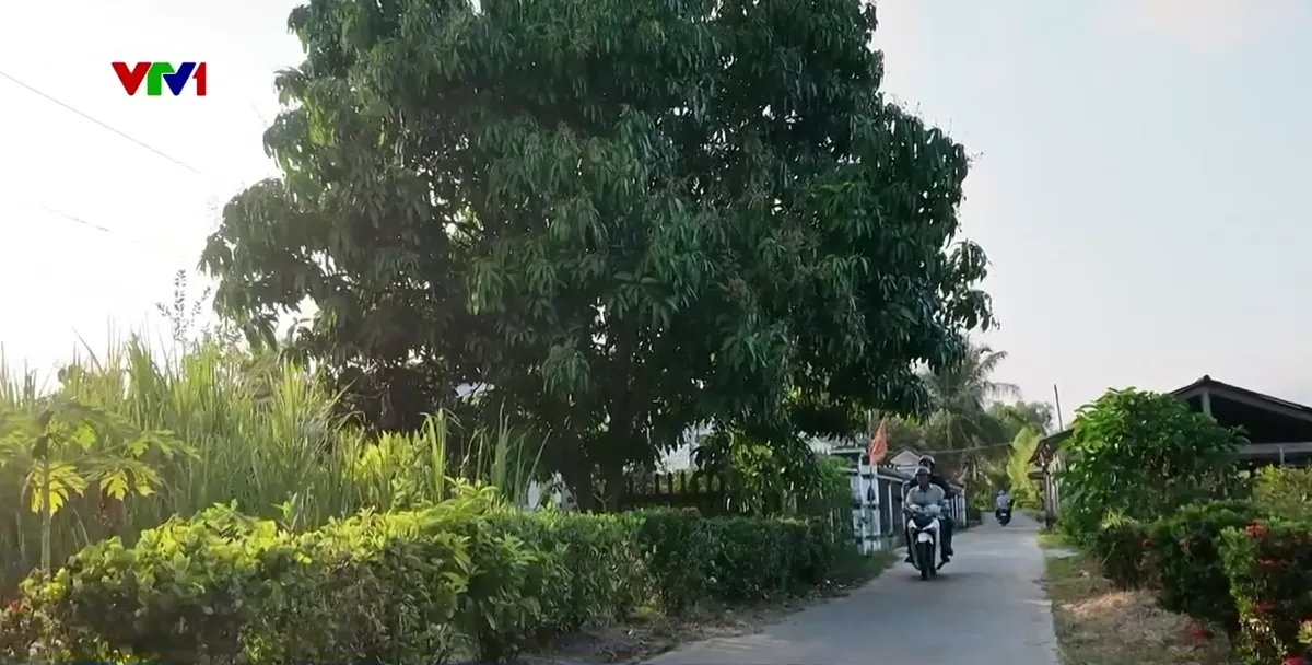 Tết đo&agrave;n vi&ecirc;n nơi cực Nam của Tổ quốc - Ảnh 2.