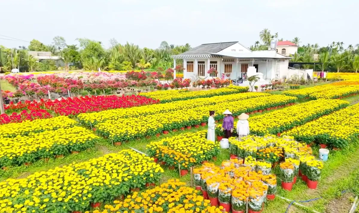 Chở xu&acirc;n về phố tr&ecirc;n s&oacute;ng VTV9 - Ảnh 2.