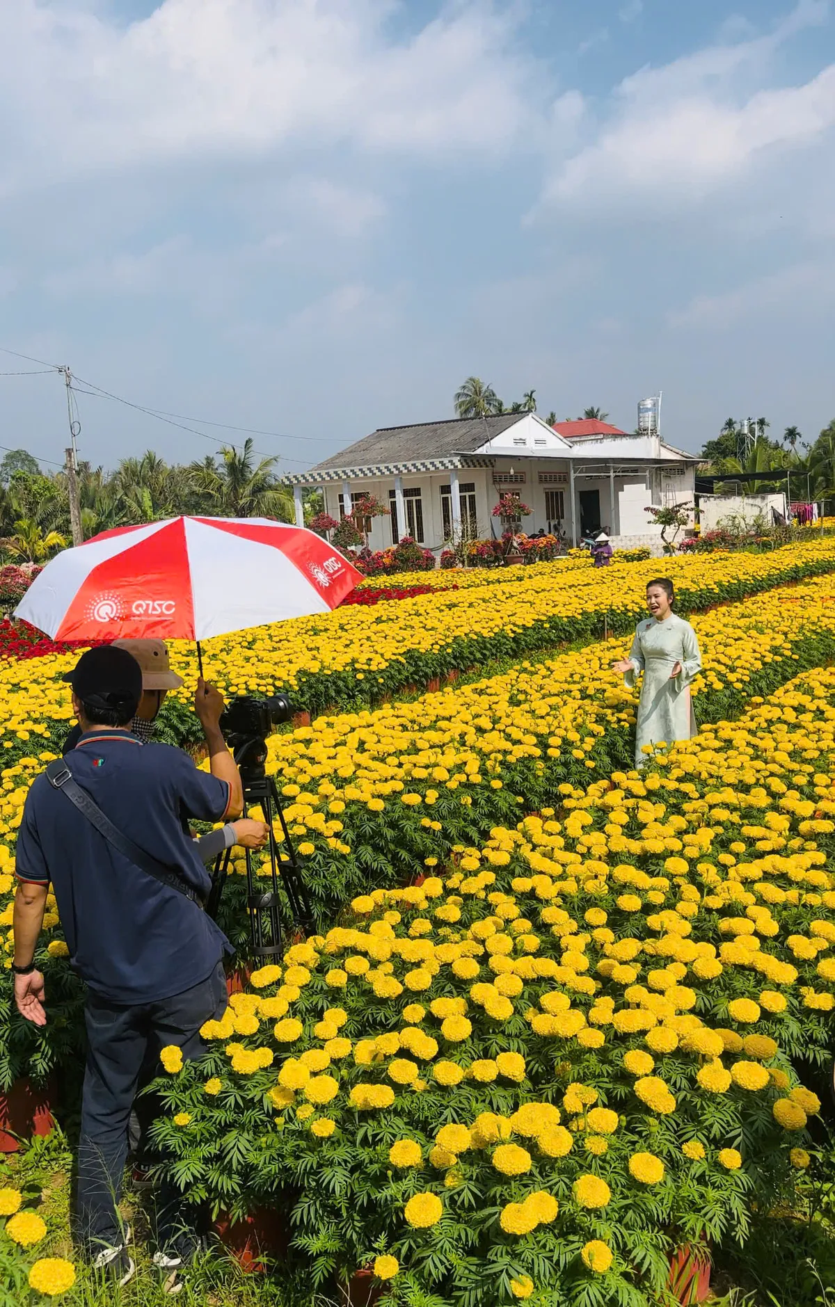 Chở xu&acirc;n về phố tr&ecirc;n s&oacute;ng VTV9 - Ảnh 3.