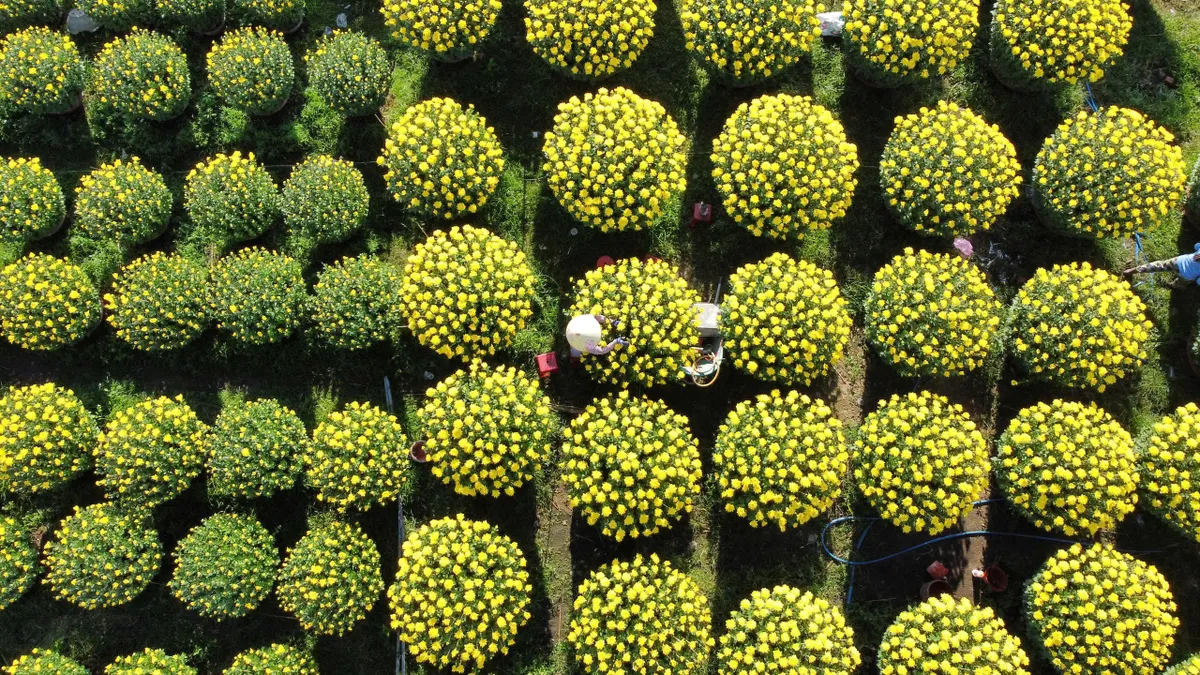 N&eacute;t ri&ecirc;ng Tết miền Trung: Giản dị m&agrave; s&acirc;u lắng- Ảnh 5.