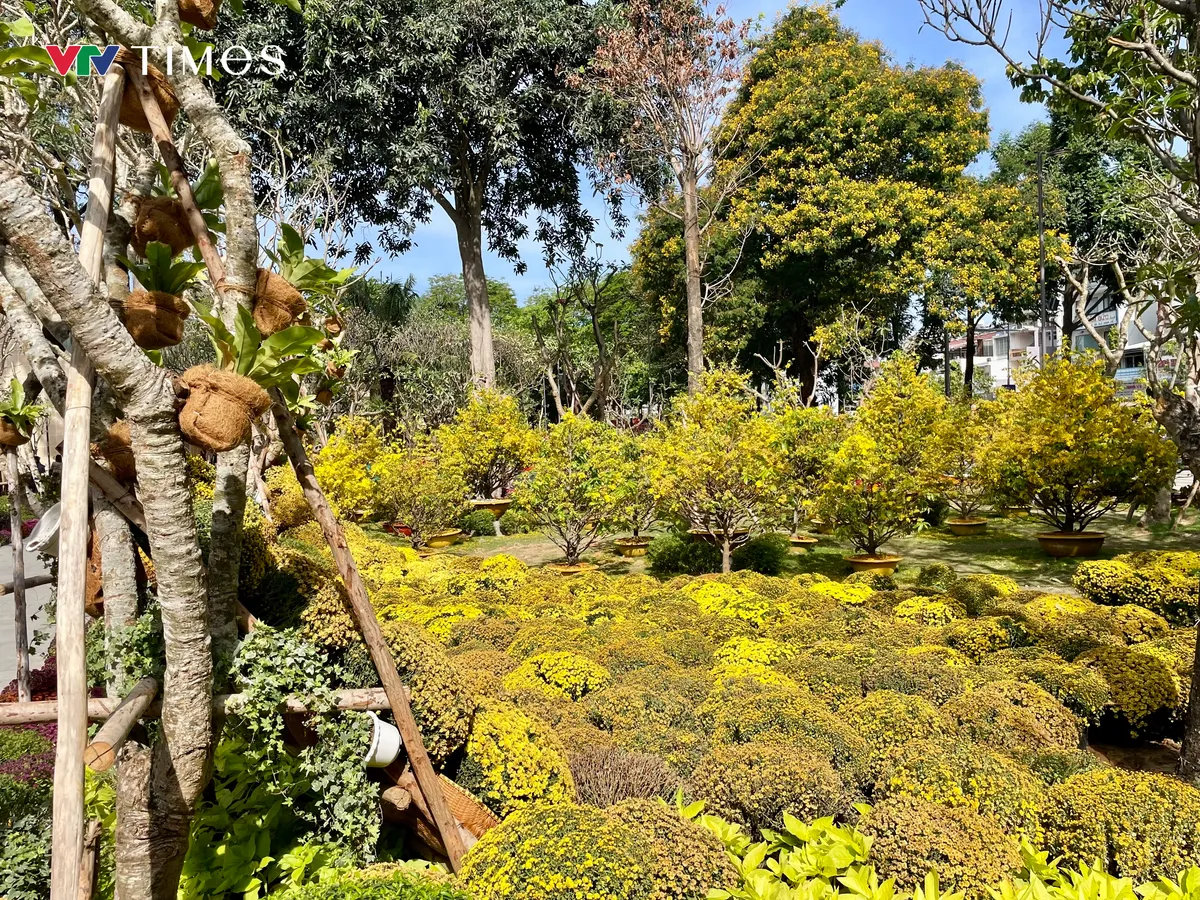 Du xuân ở những "khu đất vàng"- Ảnh 12. Du xuân ở những "khu đất vàng"- Ảnh 12.