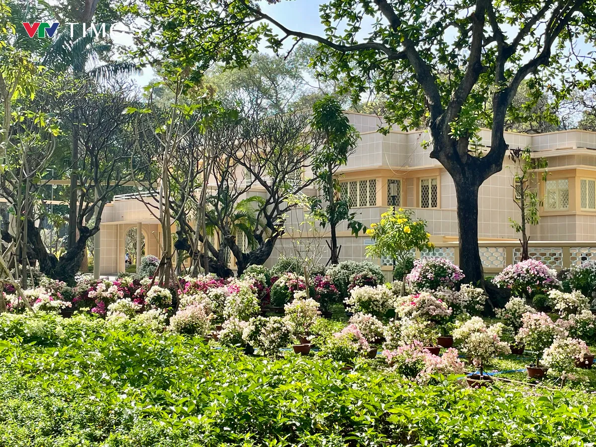 Du xuân ở những "khu đất vàng"- Ảnh 13. Du xuân ở những "khu đất vàng"- Ảnh 13.