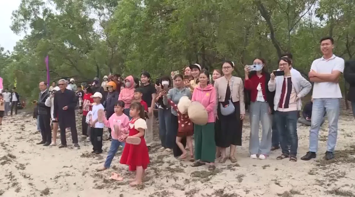 Quảng Trị tổ chức lễ hội cướp c&ugrave;- Ảnh 4.