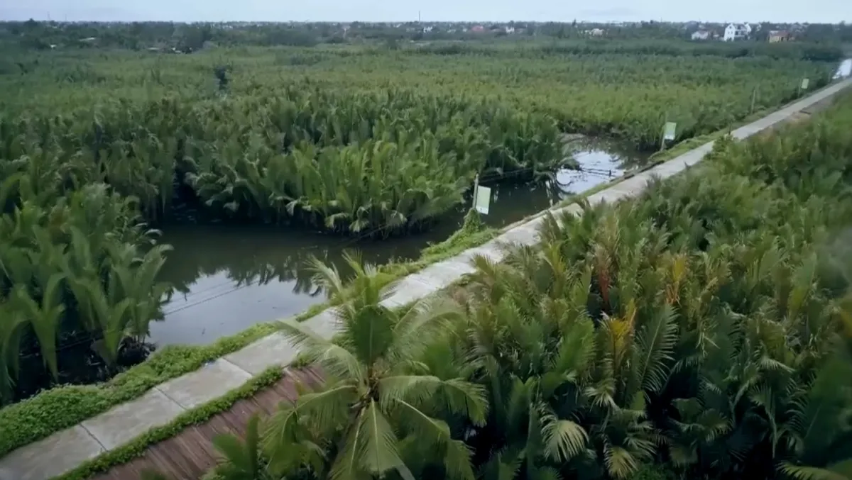 Tết ở l&agrave;ng dừa Đ&agrave; Nẵng- Ảnh 6.