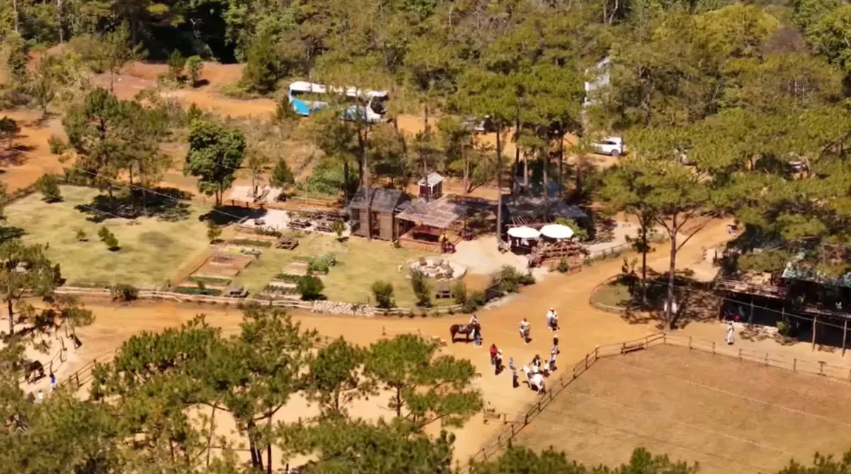 M&ugrave;a Xu&acirc;n cưỡi ngựa giữa rừng th&ocirc;ng Măng Đen- Ảnh 1.