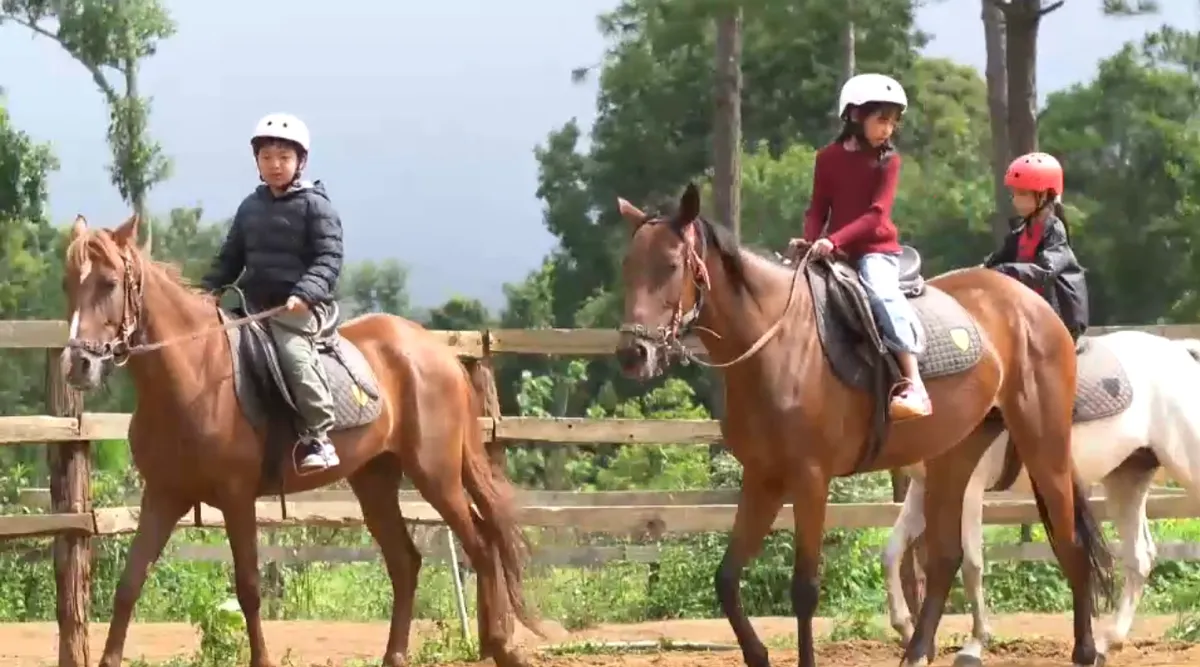 M&ugrave;a Xu&acirc;n cưỡi ngựa giữa rừng th&ocirc;ng Măng Đen- Ảnh 5.