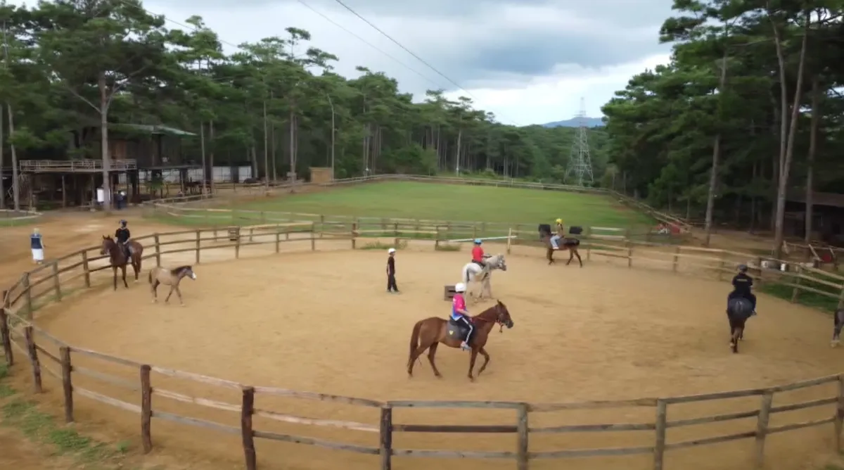 M&ugrave;a Xu&acirc;n cưỡi ngựa giữa rừng th&ocirc;ng Măng Đen- Ảnh 3.