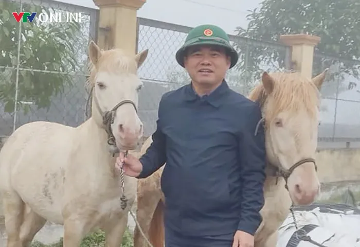 Nỗ lực bảo tồn giống ngựa quý tại cổng trời Mường Lống - Ảnh 2.