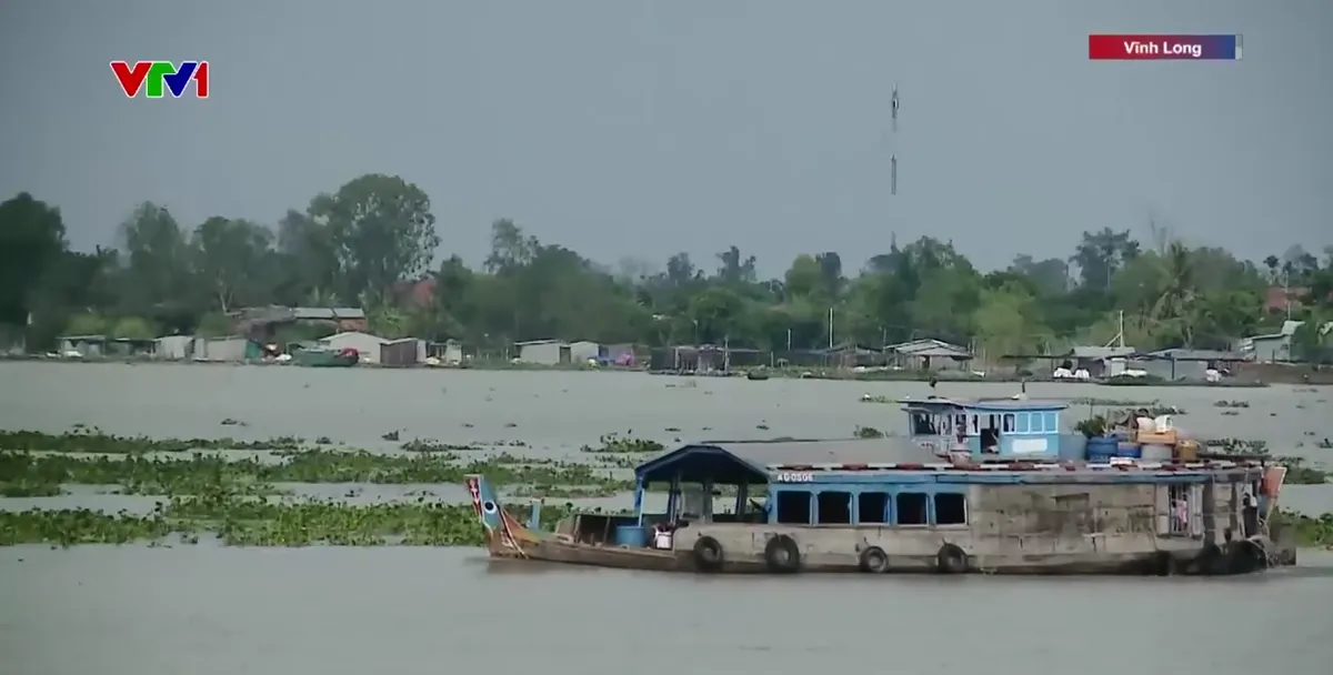 Khẩn trương ứng ph&oacute; x&acirc;m nhập mặn tại Vĩnh Long - Ảnh 1.