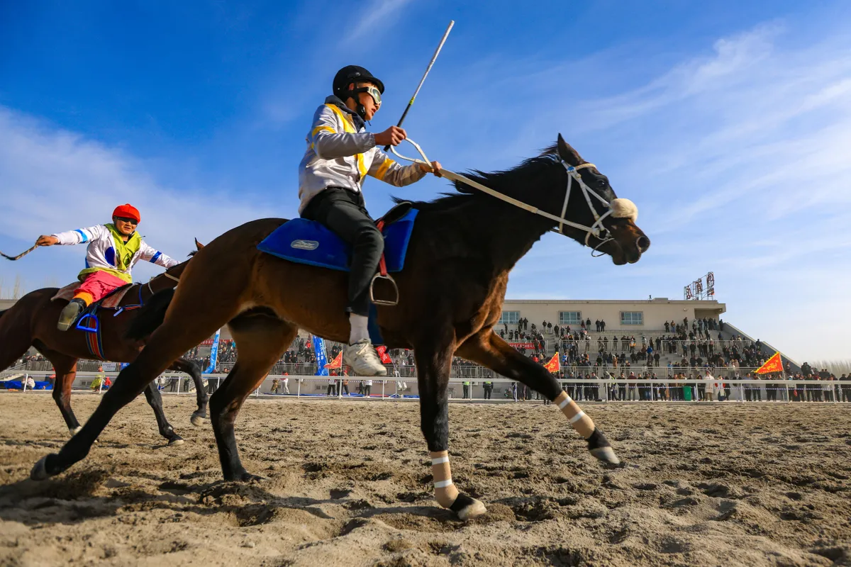H&igrave;nh tượng Ngựa trong văn h&oacute;a &Aacute; Đ&ocirc;ng - Ảnh 1.