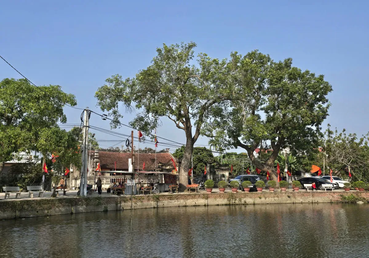 Hải Ph&ograve;ng ấm &aacute;p nghĩa t&igrave;nh trong hoạt động ch&uacute;c thọ, mừng thọ người cao tuổi - Ảnh 3.