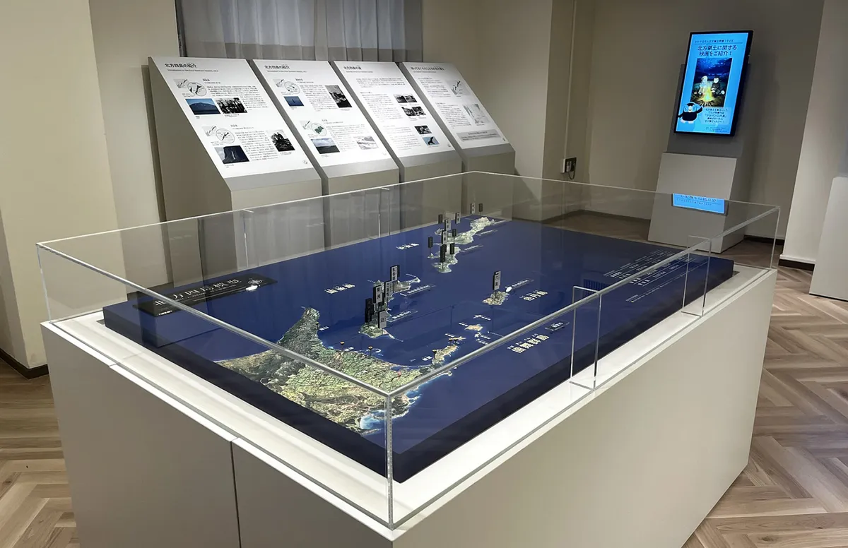 Nga tuy&ecirc;n bố quan hệ với Nhật Bản đang bế tắc, kh&ocirc;ng c&oacute; đối thoại về tranh chấp l&atilde;nh thổ- Ảnh 1.