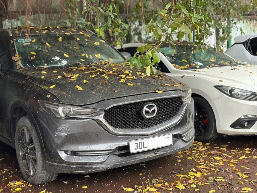 Những tác nhân gây hại và cách bảo vệ lớp sơn ngoại thất ô tô- Ảnh 1. Những tác nhân gây hại và cách bảo vệ lớp sơn ngoại thất ô tô- Ảnh 1.