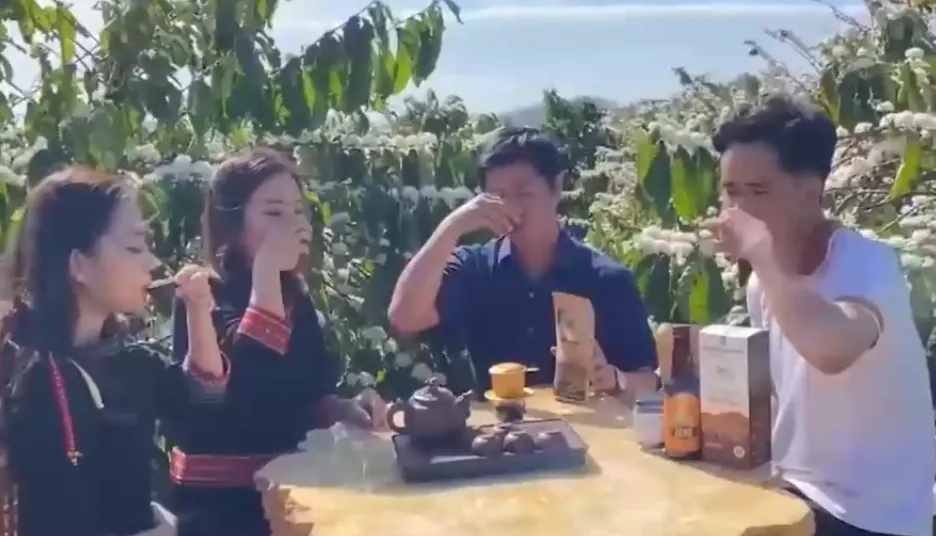 "Tuyết trắng" giữa đại ng&agrave;n: Du xu&acirc;n m&ugrave;a hoa c&agrave; ph&ecirc;- Ảnh 3.