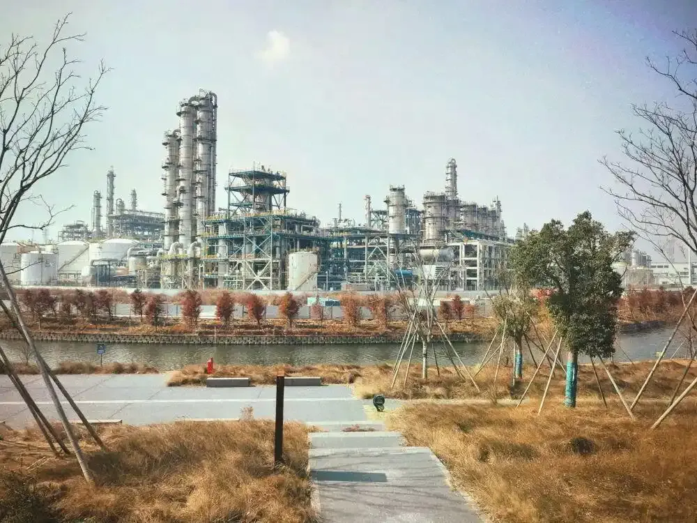 Thẩm Đằng vượt mặt Trương Nghệ Mưu trên đường đua phim Tết - Ảnh 1.