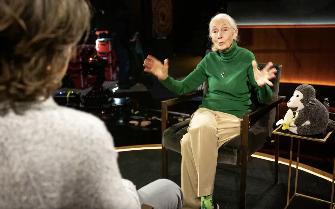 Jane Goodall - nhân vật đầu tiên trong loạt phim tài liệu "Famous Last Words". (Ảnh: Netflix)