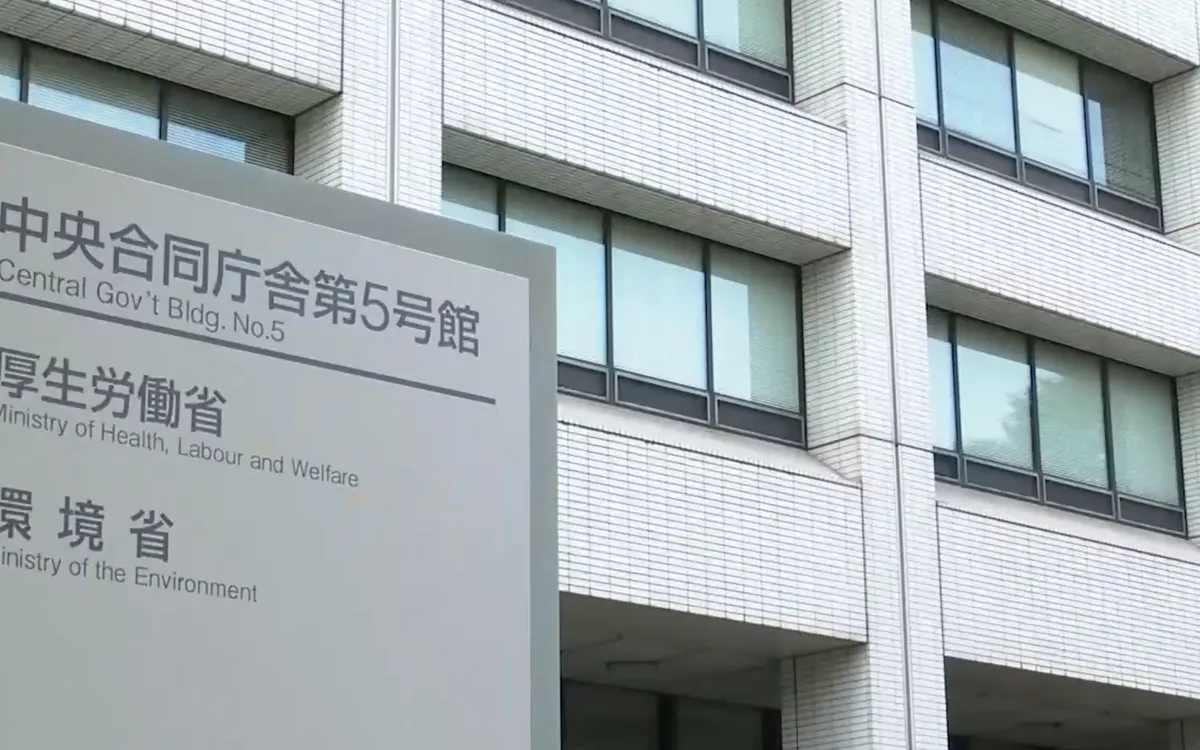 Gia tăng số ca nhiễm c&uacute;m tại Nhật Bản- Ảnh 1.