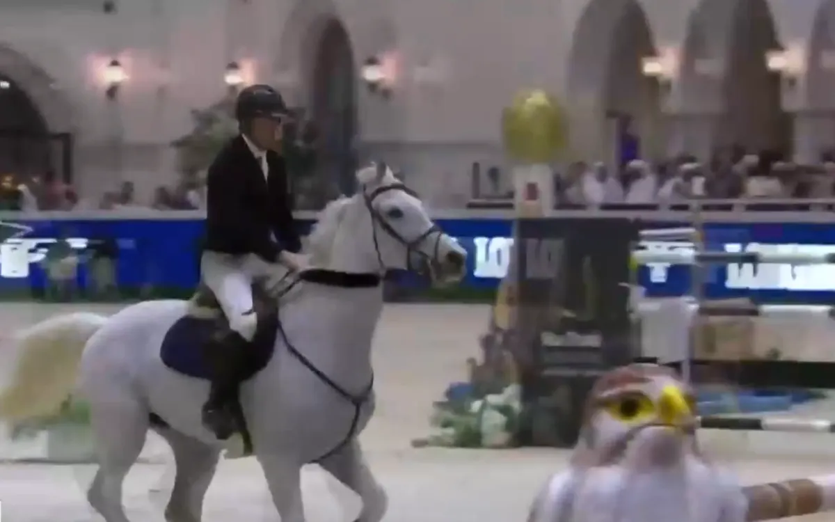 Ng&agrave;y hội &ldquo;ngựa nhảy vượt r&agrave;o&rdquo; tại UAE- Ảnh 1.