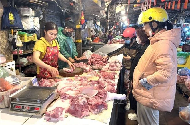 Thị trường Tết B&iacute;nh Ngọ kh&ocirc;ng khan h&agrave;ng, kh&ocirc;ng tăng gi&aacute; đột biến  - Ảnh 1.