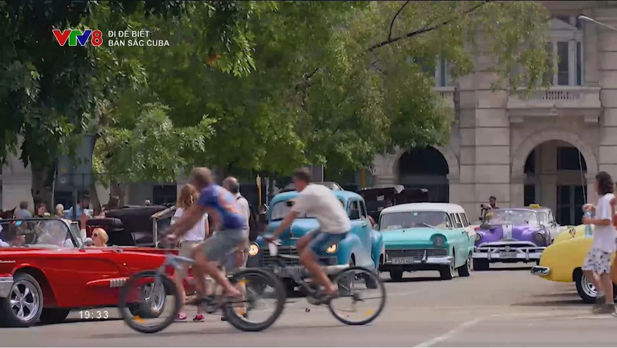 "Đi để biết: Bản sắc Cuba" - Ph&aacute;t s&oacute;ng 19h30, ng&agrave;y 22/02/2026, tr&ecirc;n k&ecirc;nh VTV8- Ảnh 1.