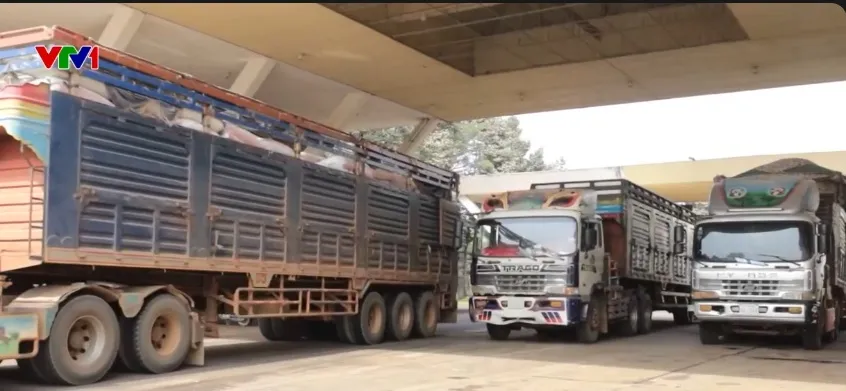 Xuất nhập khẩu n&ocirc;ng sản ph&iacute;a Nam tăng nhiệt đầu năm  - Ảnh 1.