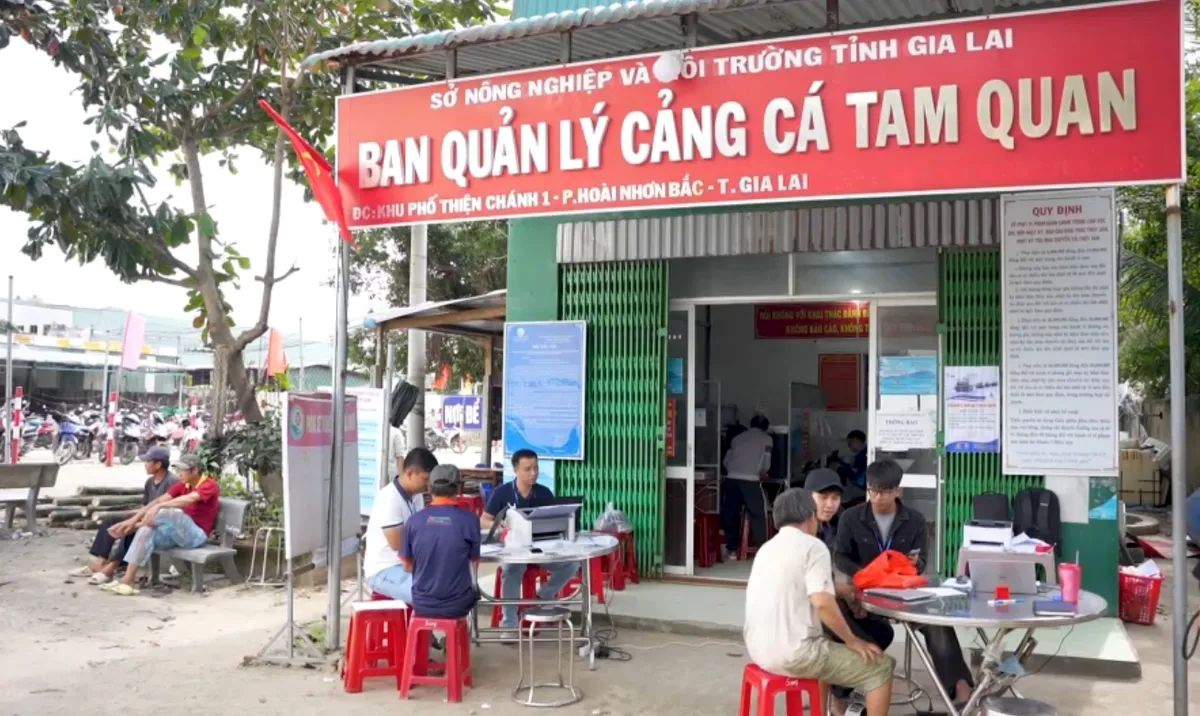 Hiện đại hóa nghề cá, hướng đến phát triển bền vững- Ảnh 1. Hiện đại hóa nghề cá, hướng đến phát triển bền vững- Ảnh 1.