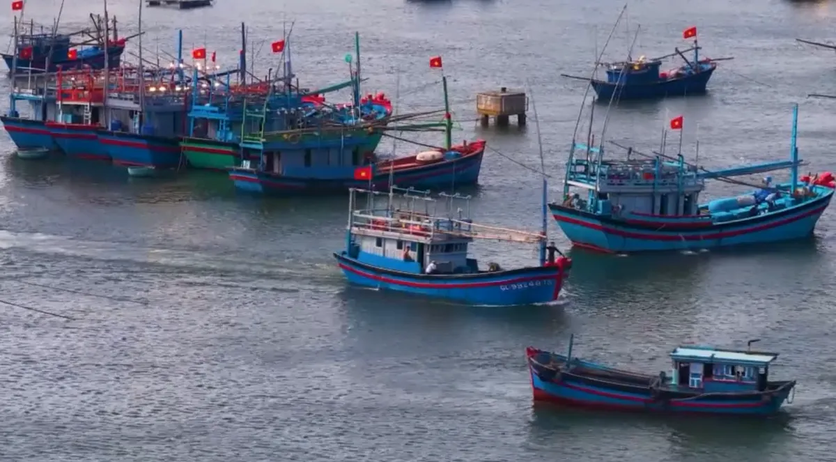 Hiện đại hóa nghề cá, hướng đến phát triển bền vững- Ảnh 5. Hiện đại hóa nghề cá, hướng đến phát triển bền vững- Ảnh 5.