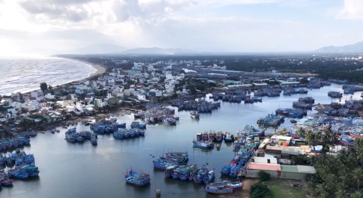 Ngư d&acirc;n phấn khởi vươn khơi đầu năm- Ảnh 1.