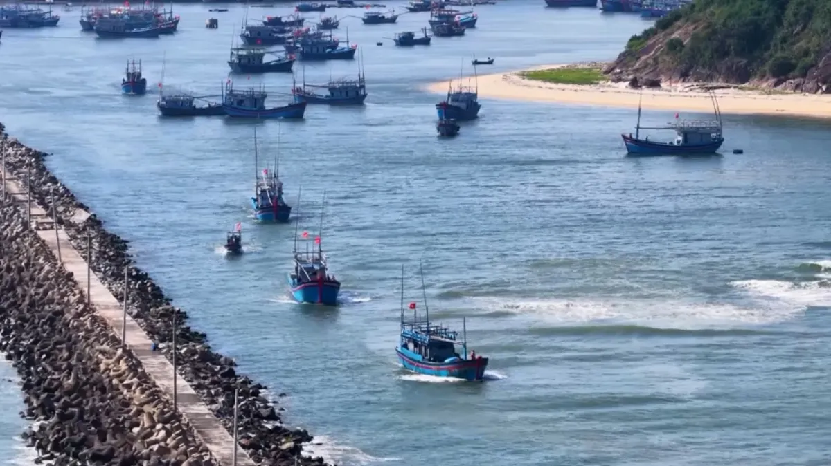 Ngư d&acirc;n phấn khởi vươn khơi đầu năm- Ảnh 3.