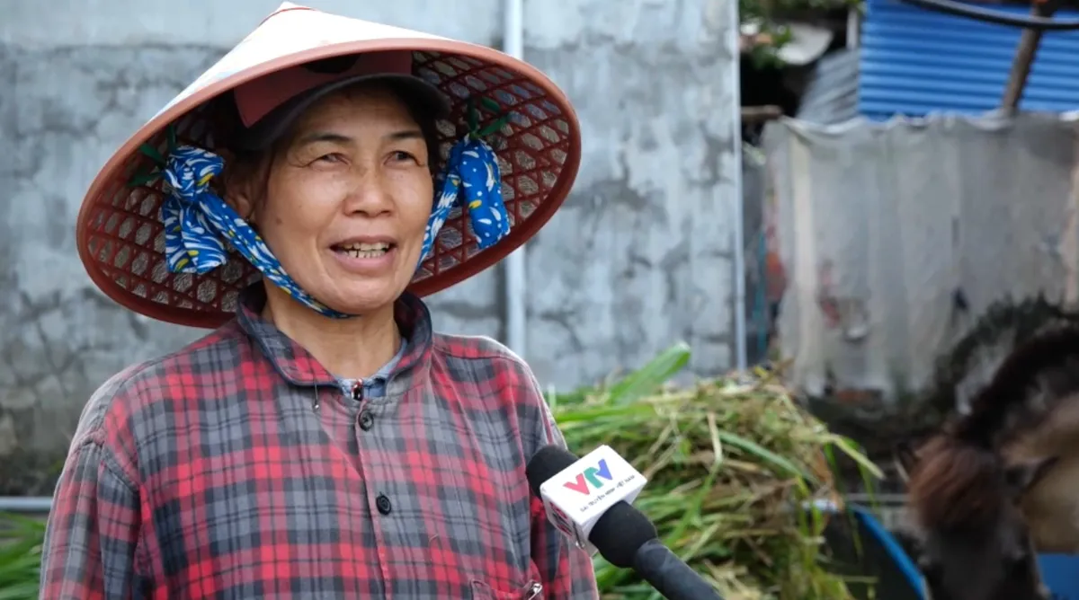 Ngựa thồ - Điểm tựa người d&acirc;n miền n&uacute;i- Ảnh 2.