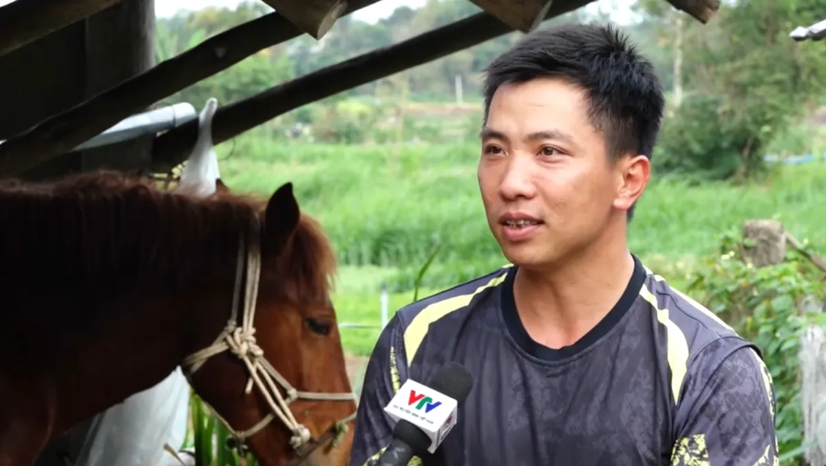 Ngựa thồ - Điểm tựa người d&acirc;n miền n&uacute;i- Ảnh 4.