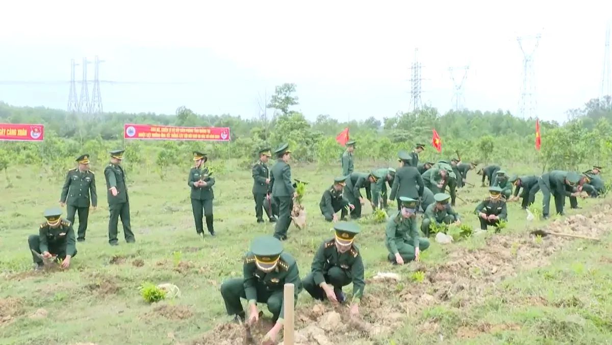 Quảng Trị phát động "Tết trồng cây đời đời nhớ ơn bác Hồ"- Ảnh 4. Quảng Trị phát động "Tết trồng cây đời đời nhớ ơn bác Hồ"- Ảnh 4.