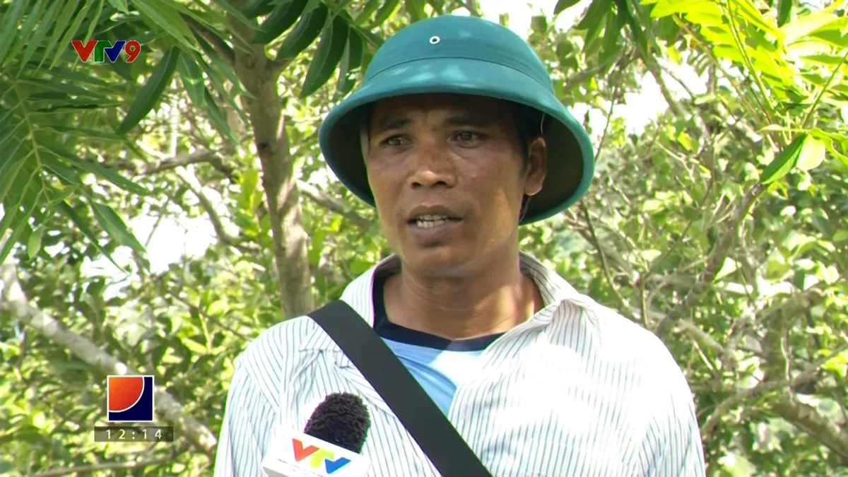 pnhn-2302-1 thalp quoc hau.jpg