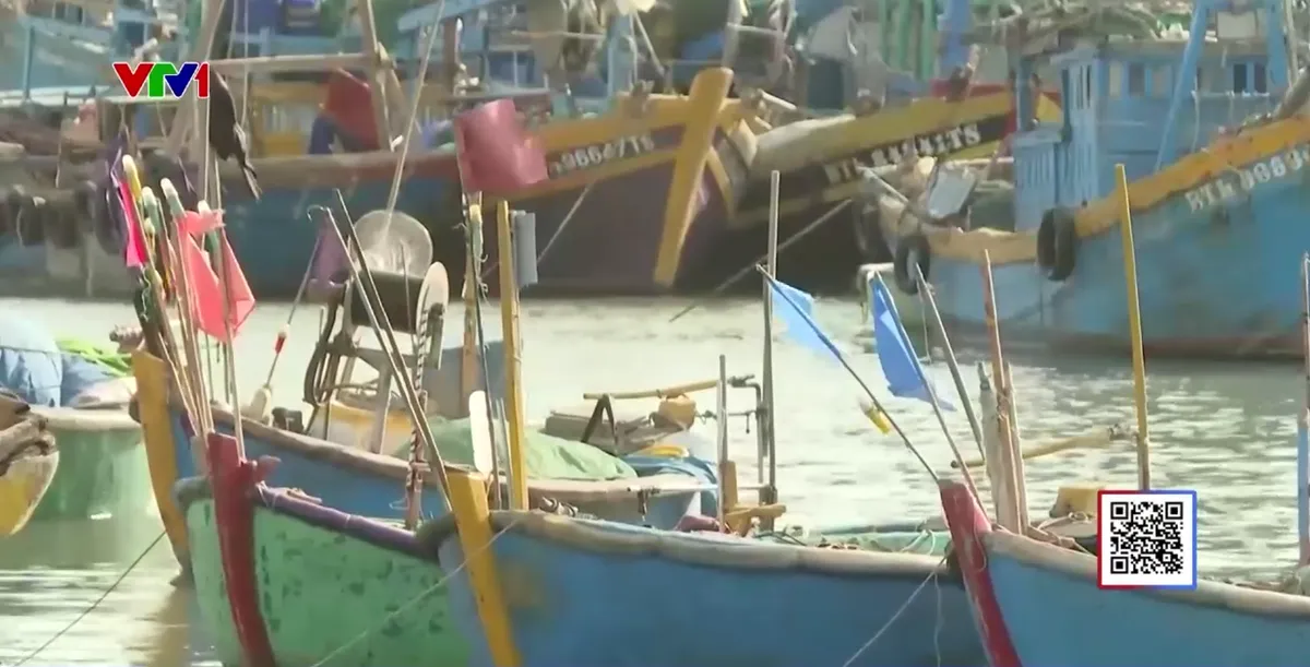 Thiếu khu neo đậu t&agrave;u c&aacute;, ngư d&acirc;n Phan R&iacute; Cửa gặp kh&oacute; - Ảnh 2.