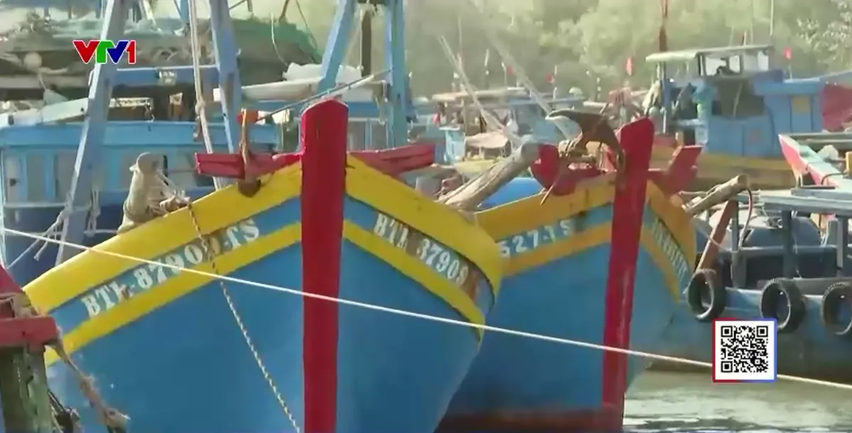 Thiếu khu neo đậu t&agrave;u c&aacute;, ngư d&acirc;n Phan R&iacute; Cửa gặp kh&oacute; - Ảnh 1.