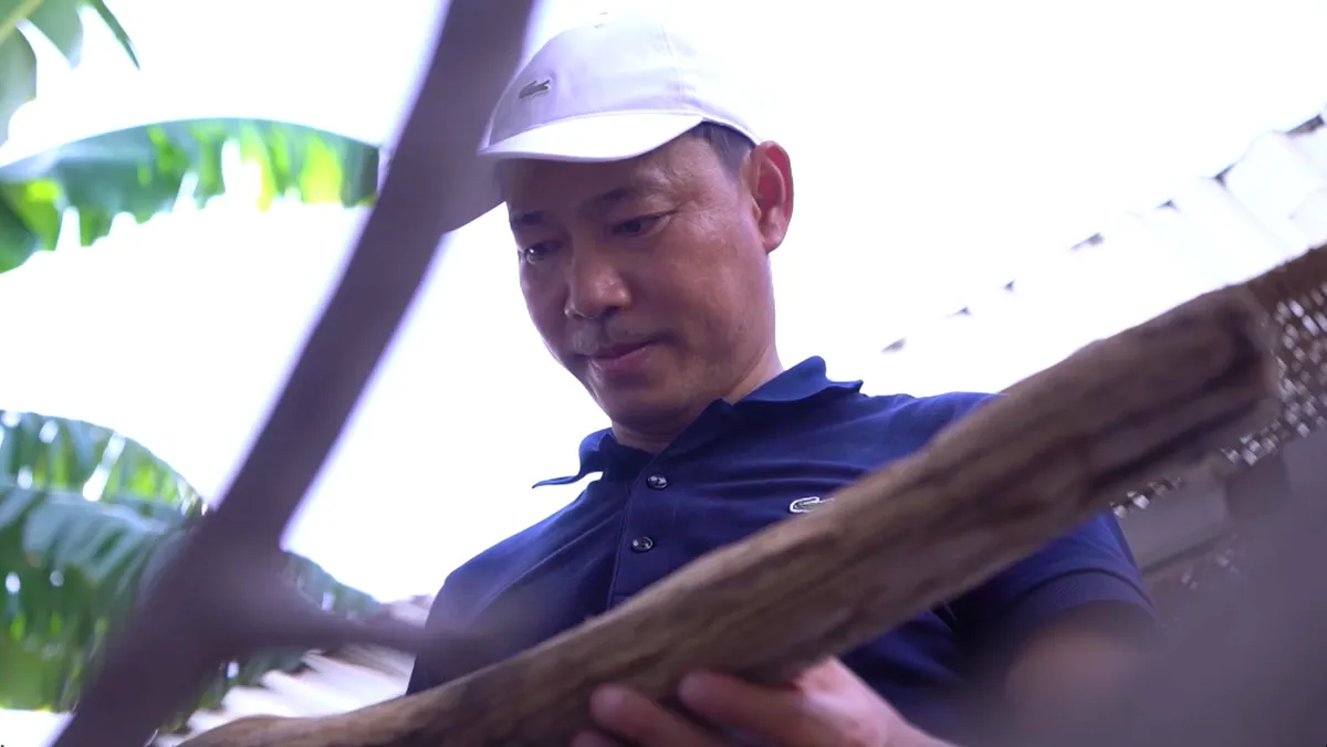 Sức h&uacute;t từ 