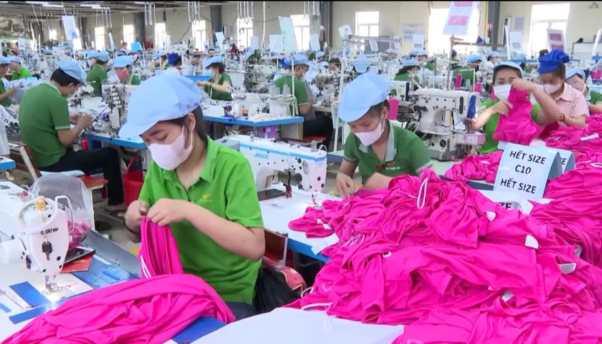 Ra quân sản xuất đầu năm- Ảnh 2. Ra quân sản xuất đầu năm- Ảnh 2.